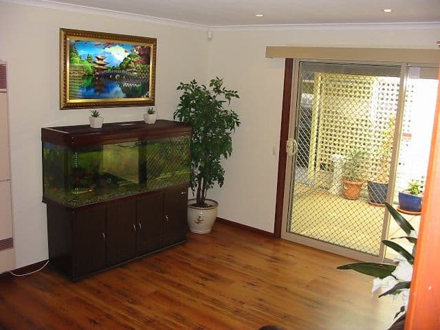 62 Fairbanks Drive, PARALOWIE SA 5108, Paralowie - Thumbnail 7