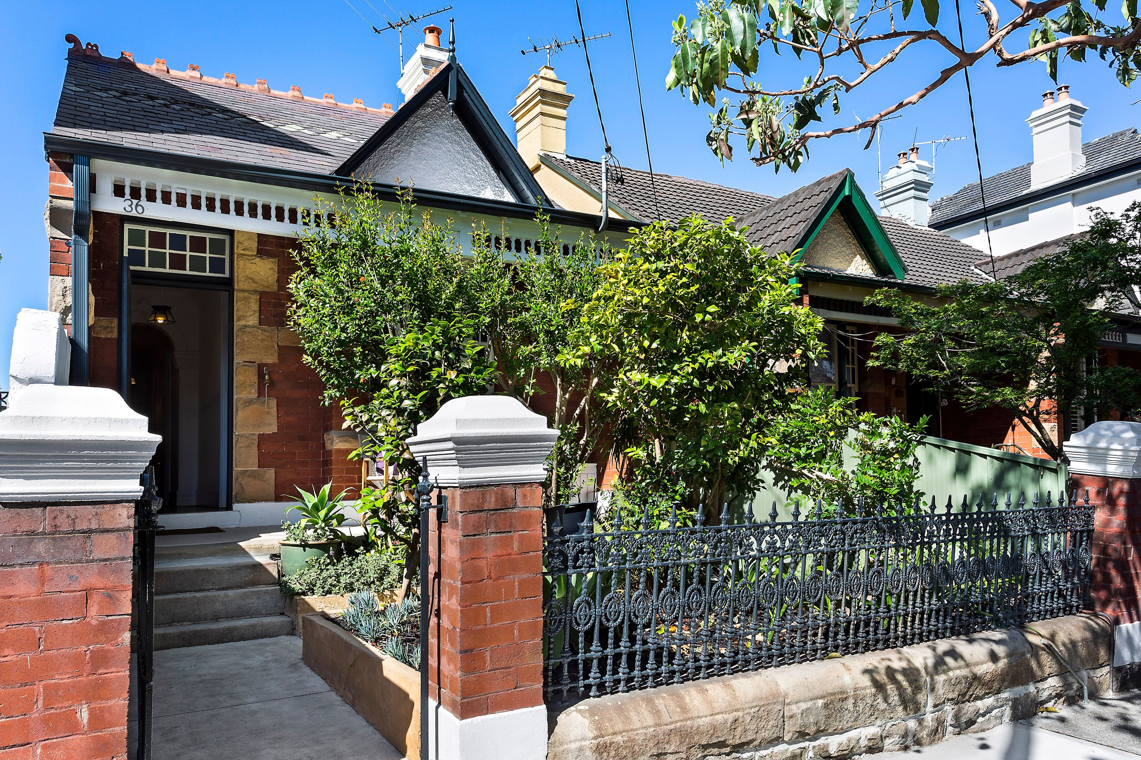 36 Pine Street, Randwick NSW 2031, Randwick - Thumbnail 2