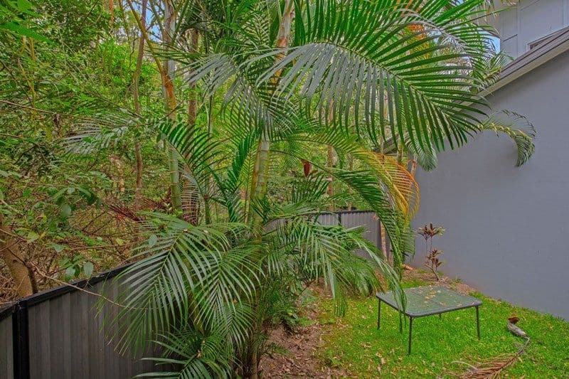 181 Gemvale Road, Mudgeeraba QLD 4213, Mudgeeraba - Thumbnail 5