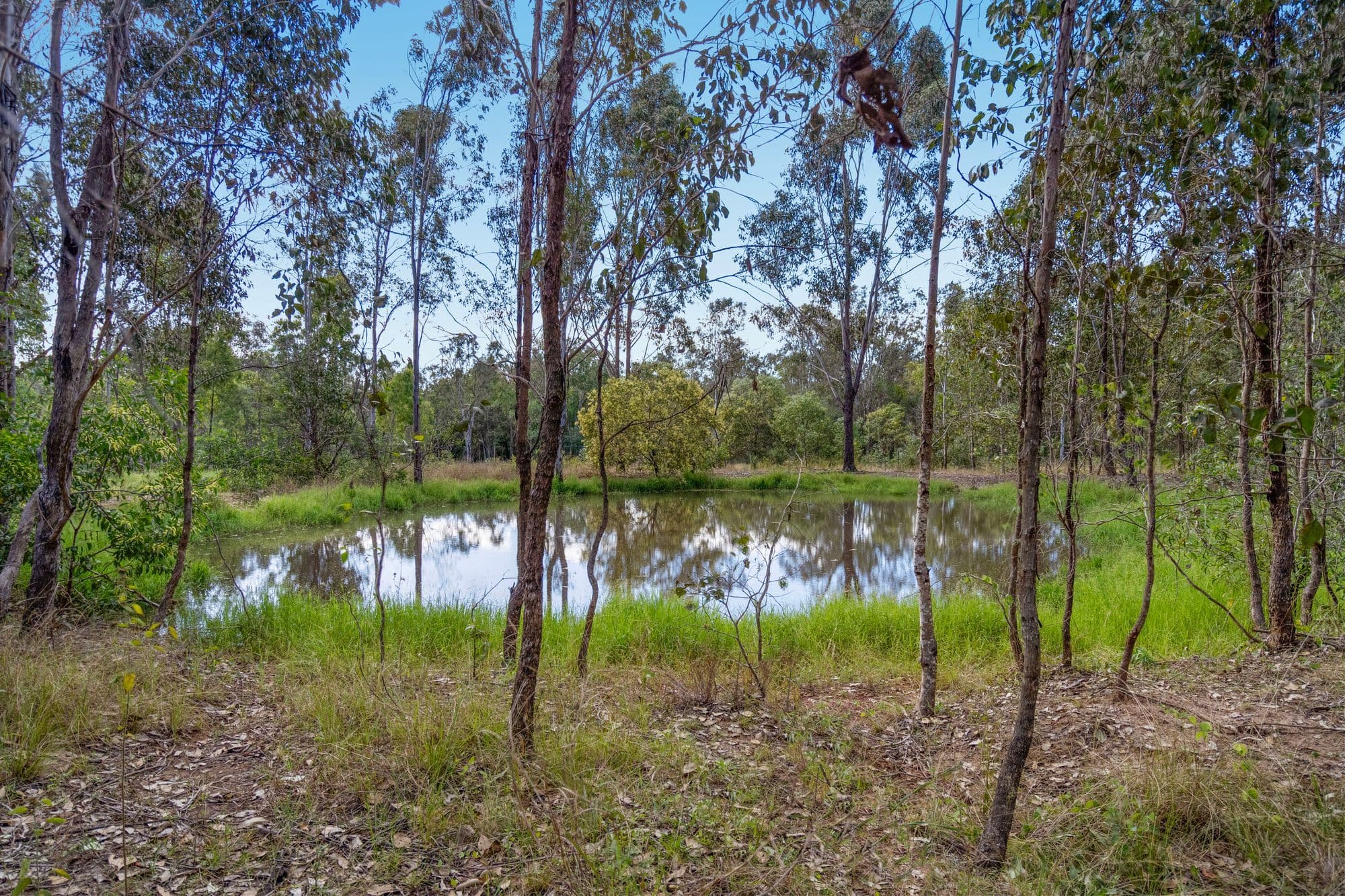 66-100 Schillings Road, Karrabin QLD 4306, Karrabin - Thumbnail 7