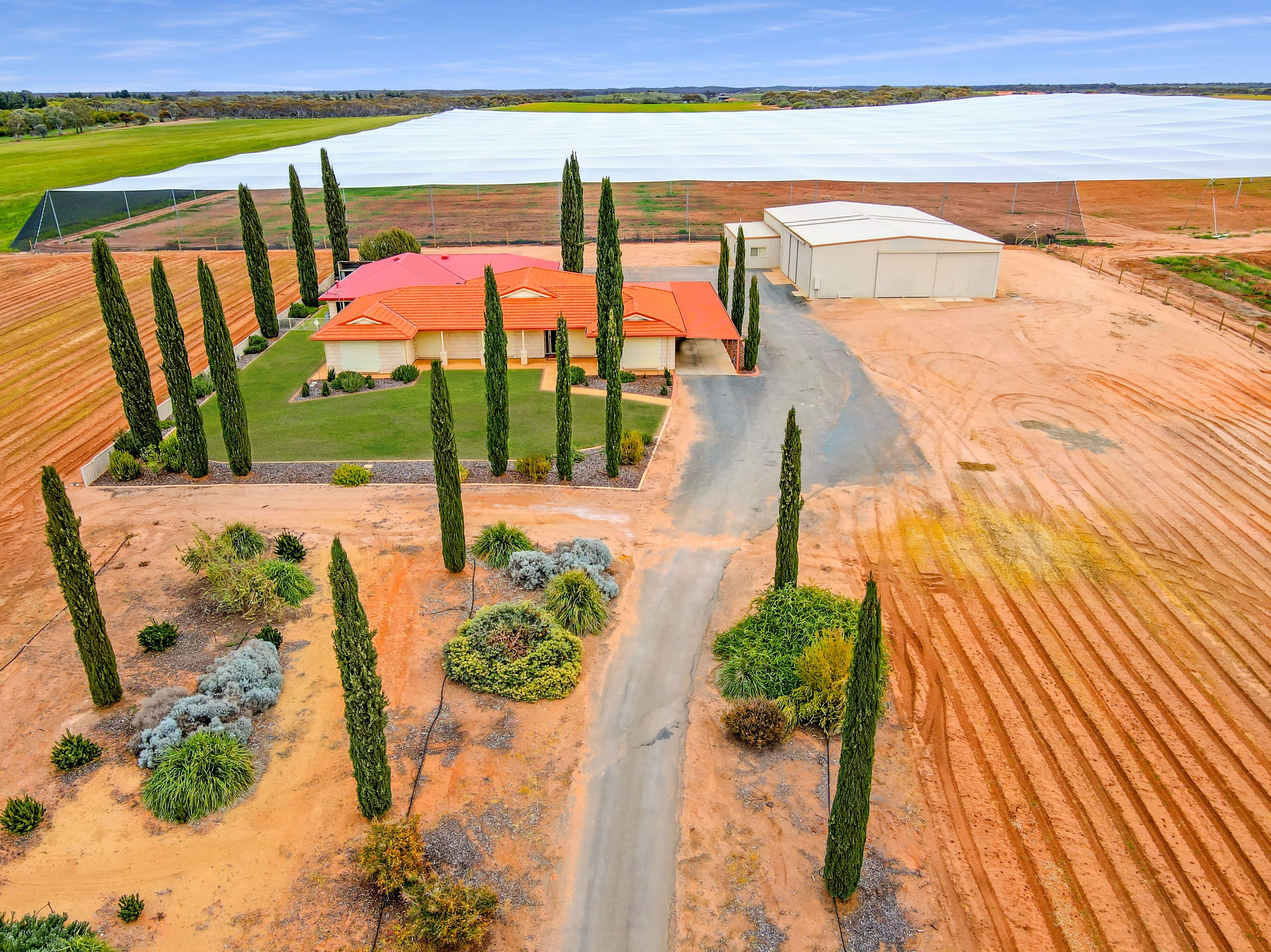 406 Government Road, Renmark SA 5341, Renmark West - Thumbnail 3