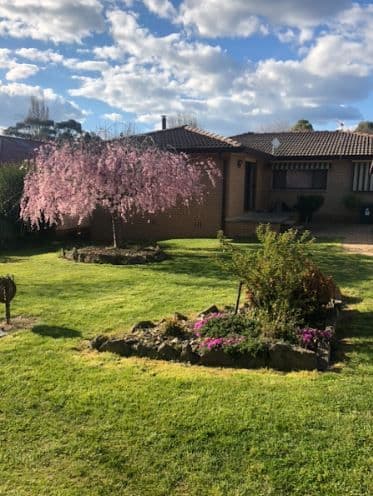 17 Kent Street, Tumbarumba NSW 2653, Tumbarumba - Image 1