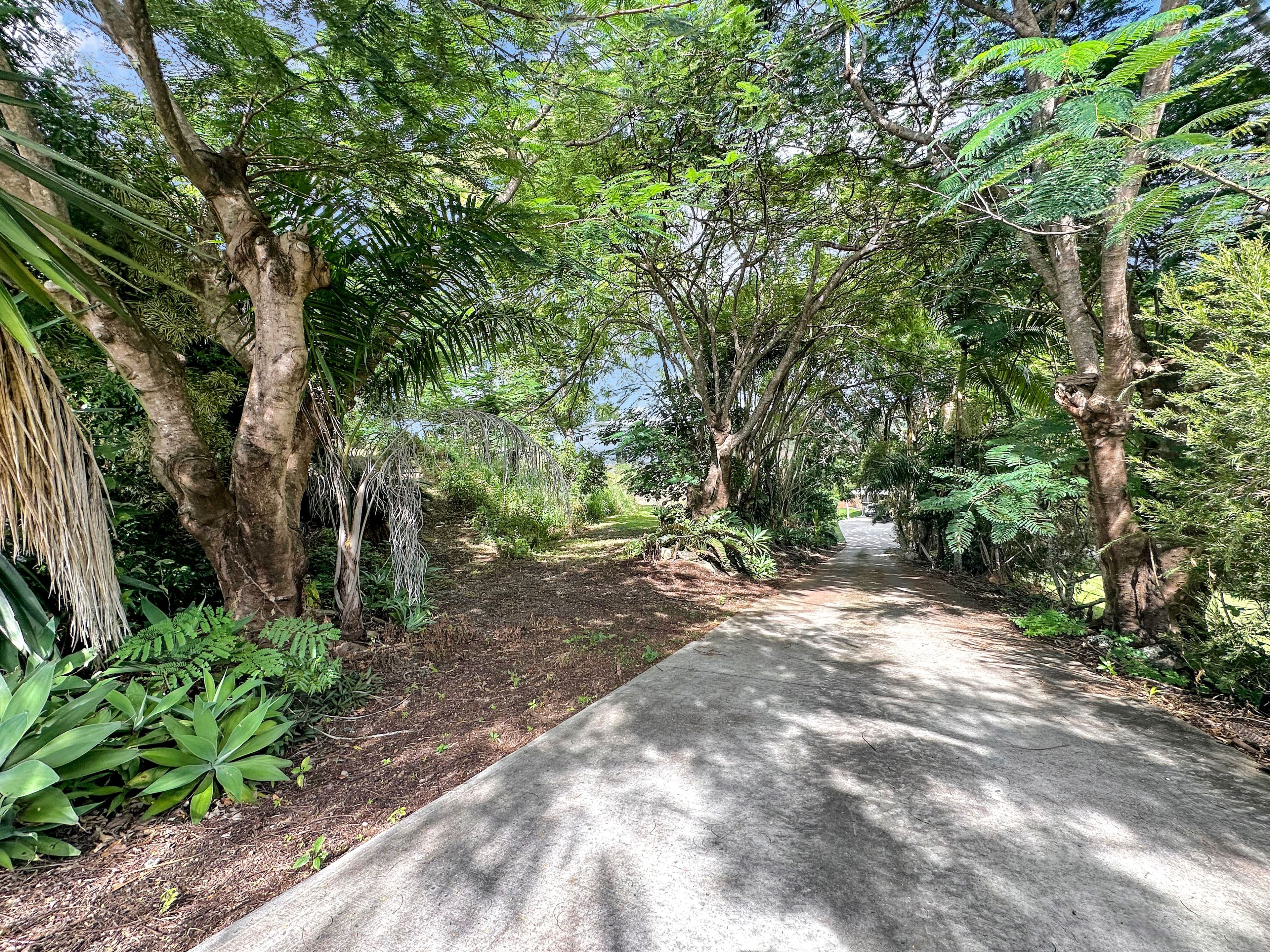 34 Grieshaber Drive, Sarina QLD 4737, Sarina - Thumbnail 3