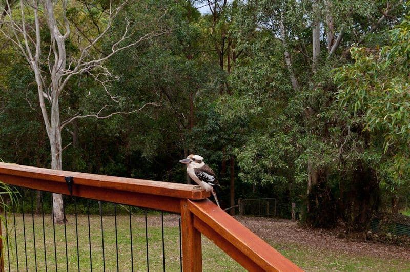 32 Maragani Court, SAMFORD QLD 4520, Samford Valley - Thumbnail 7