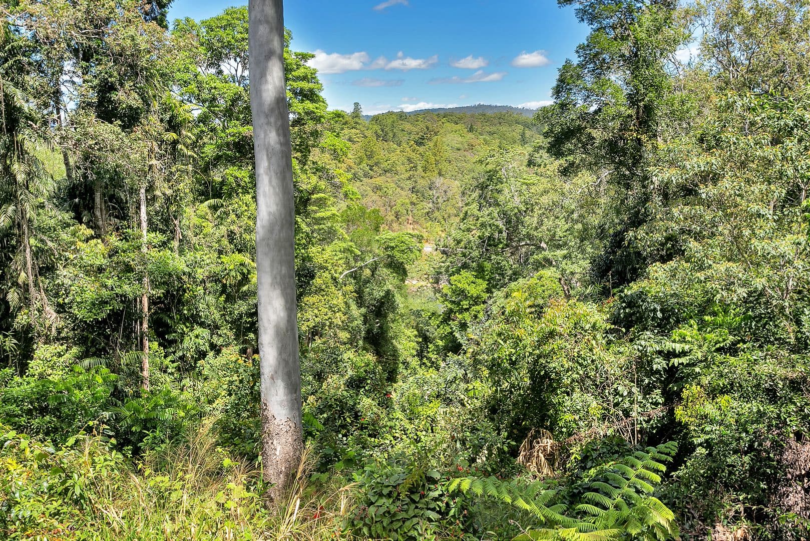 27 Silkwood Avenue, Kuranda QLD 4881, Kuranda - Thumbnail 6