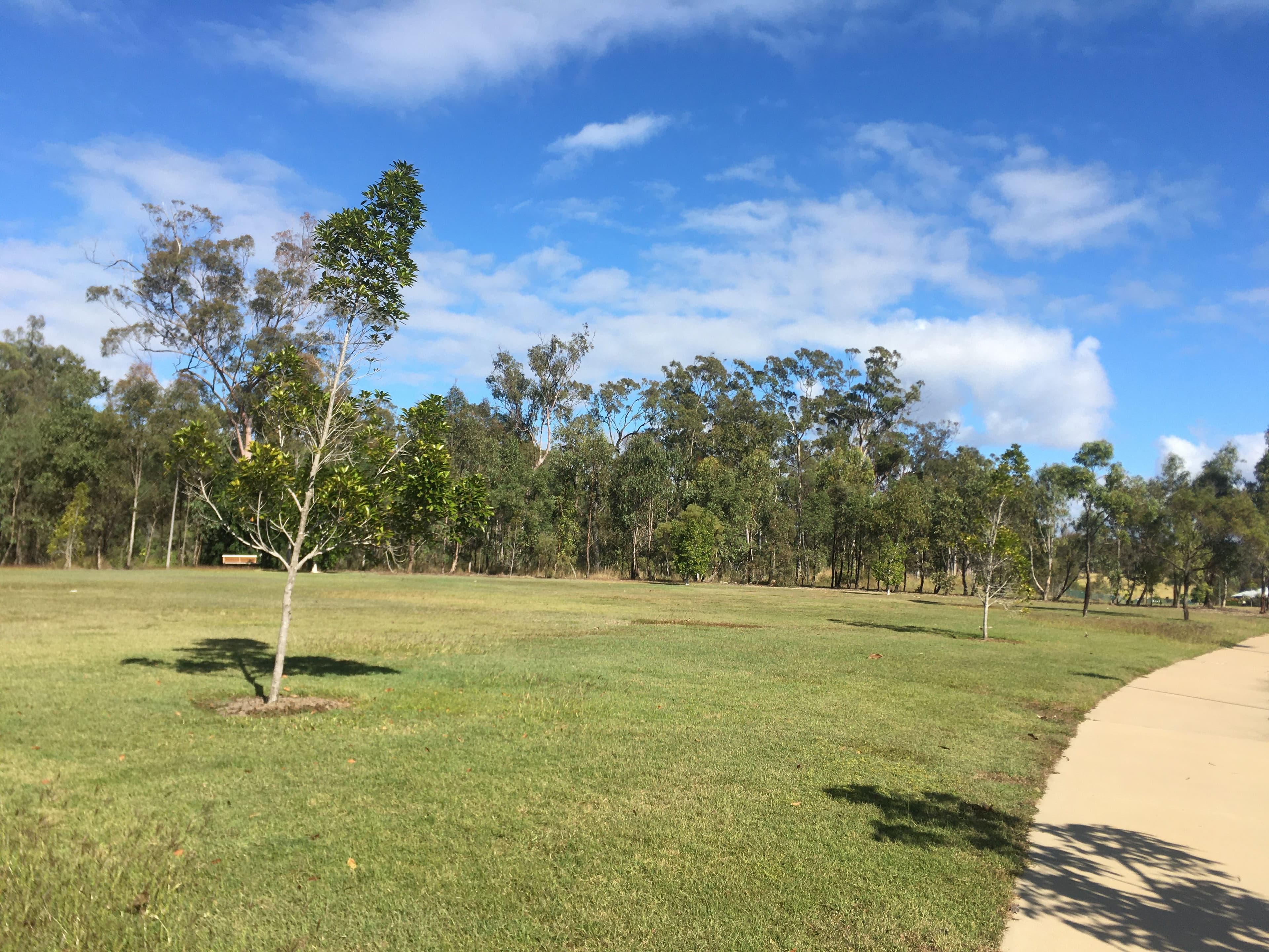 13 Parkway Crescent, Kirkwood QLD 4680, Kirkwood - Thumbnail 7