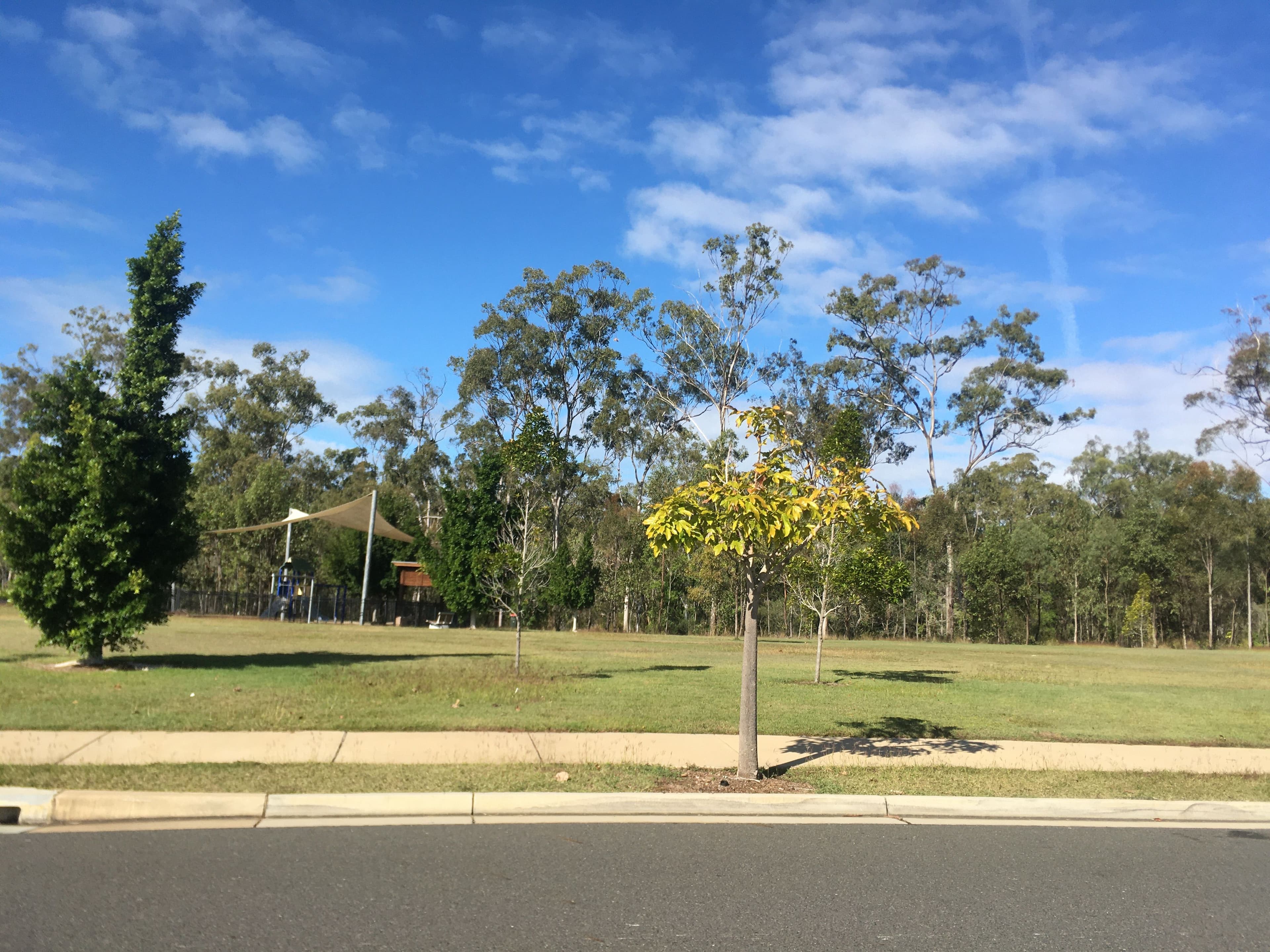 13 Parkway Crescent, Kirkwood QLD 4680, Kirkwood - Thumbnail 8