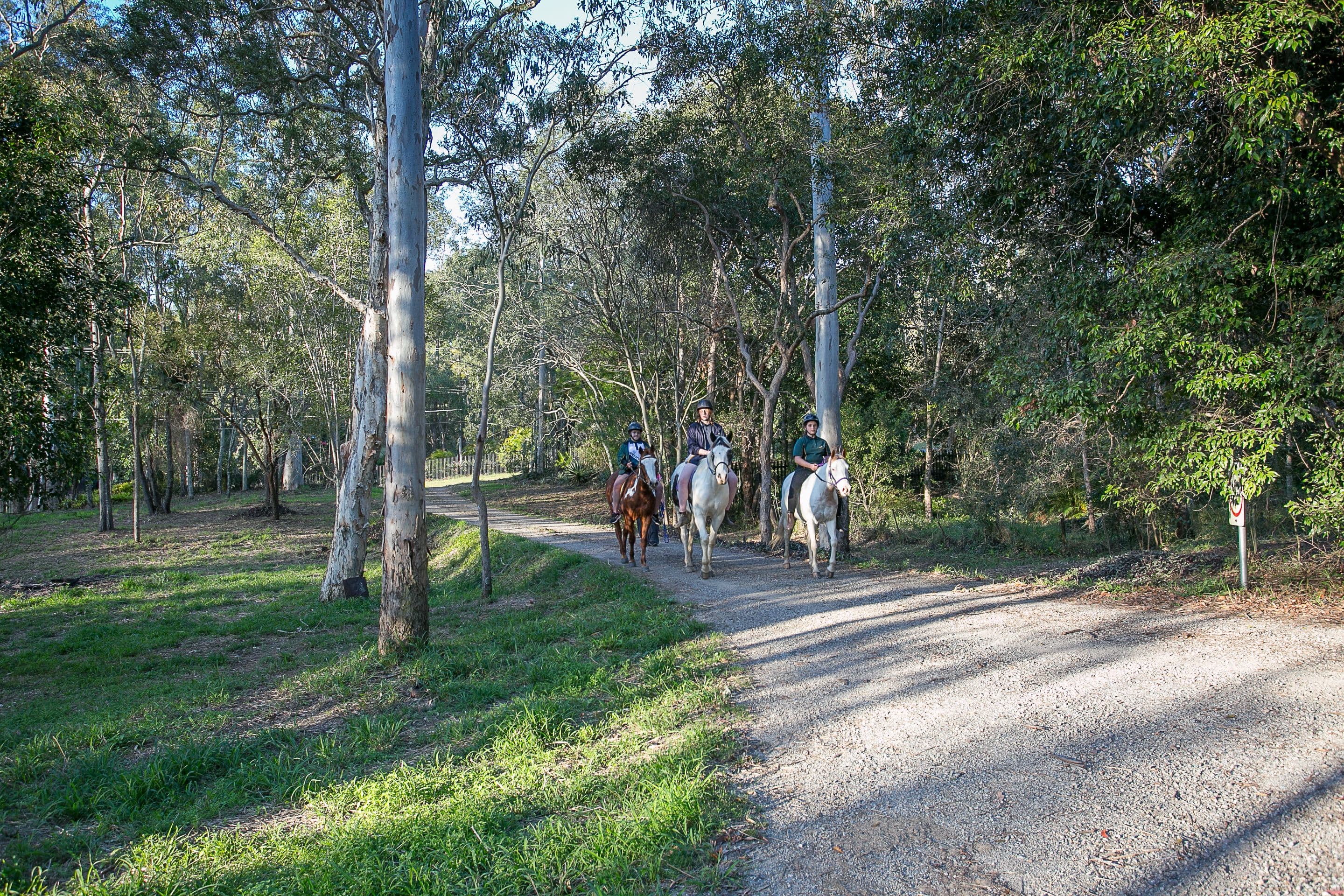 44-46 Woodlands Avenue, Camira QLD 4300, Camira - Thumbnail 2