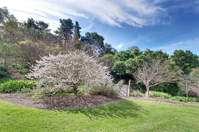 51 Garrads Lane, MILTON NSW 2538, Milton - Thumbnail 3