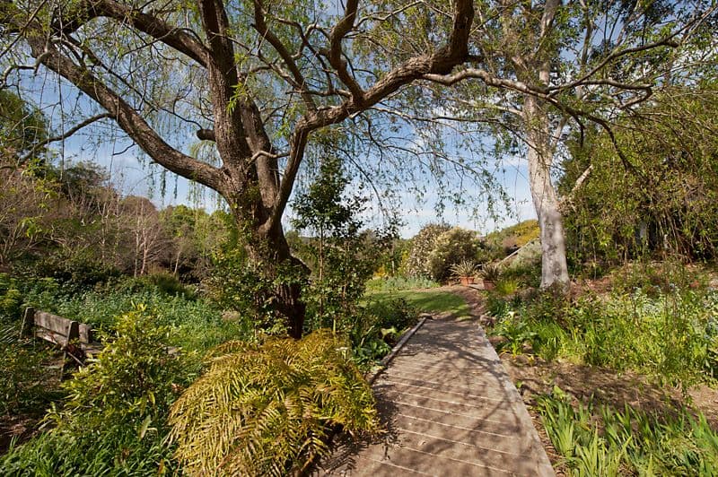 51 Garrads Lane, MILTON NSW 2538, Milton - Thumbnail 5