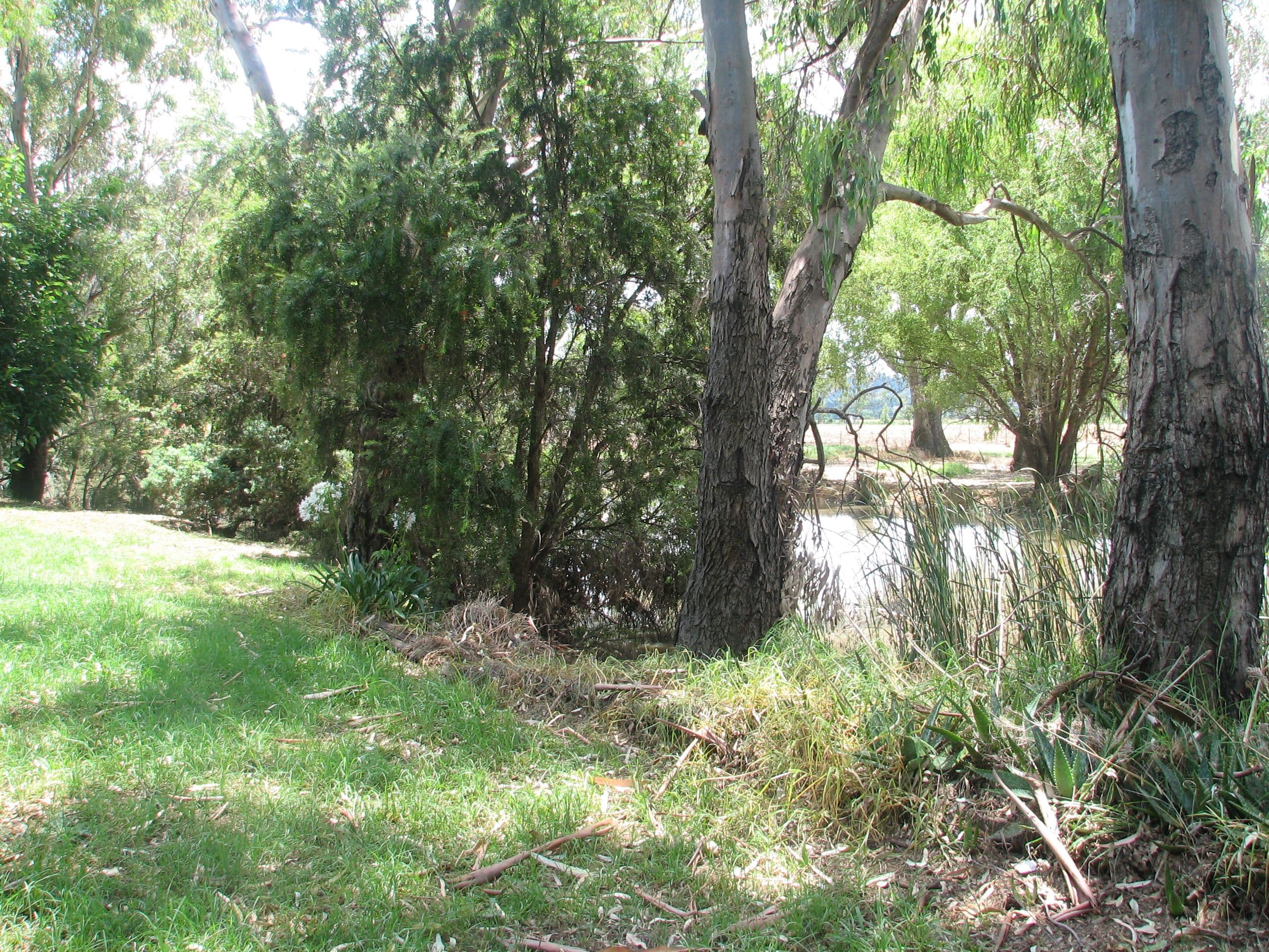 63 Graham Street, CALALA NSW 2340, Calala - Thumbnail 7