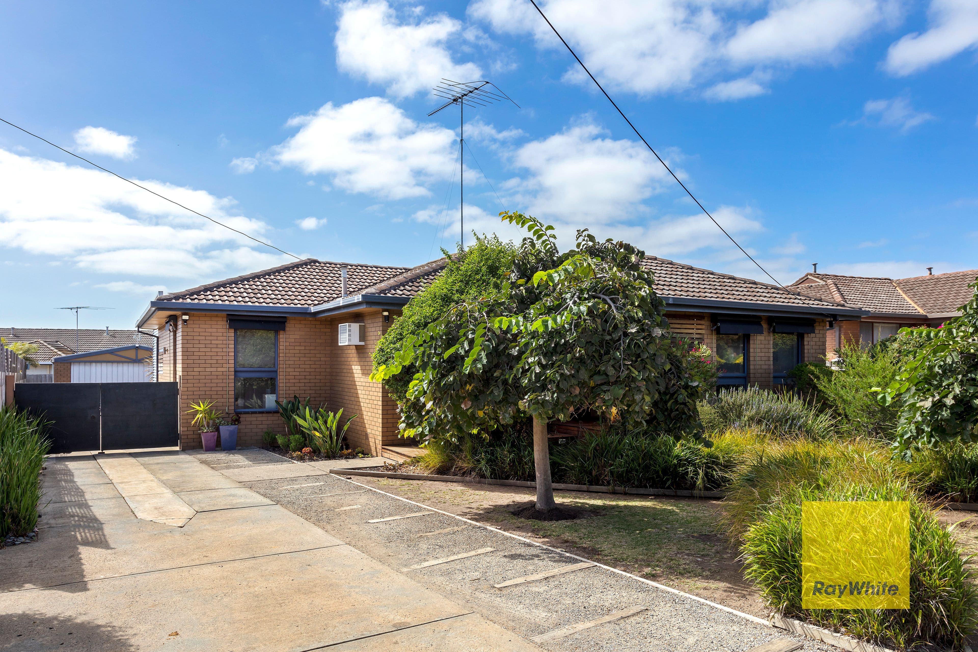 20 Highmont Drive, Belmont VIC 3216, Belmont - Image 1