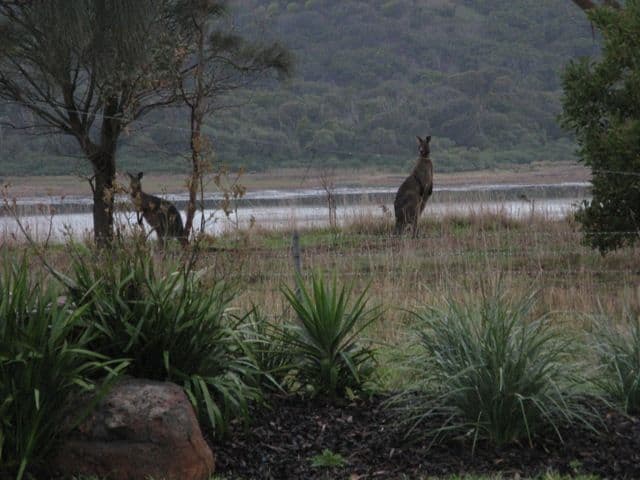 25 Lowery Road, CROSSLEY VIC 3283, Crossley - Thumbnail 4