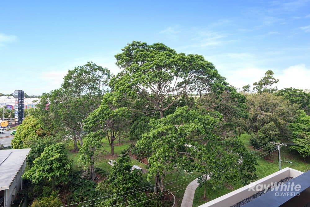 15 Parkland Street, Nundah QLD 4012, Nundah - Thumbnail 8