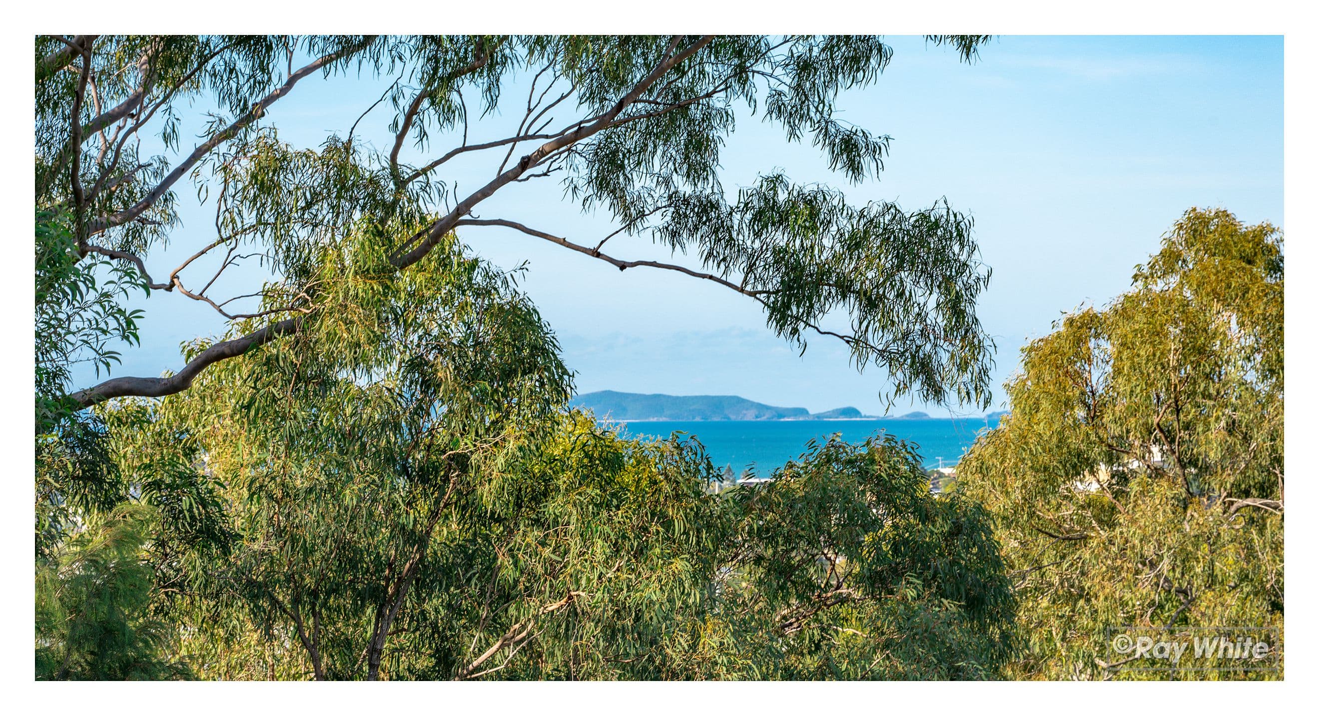 8-10 Sharon Court, Yeppoon QLD 4703, Yeppoon - Thumbnail 4