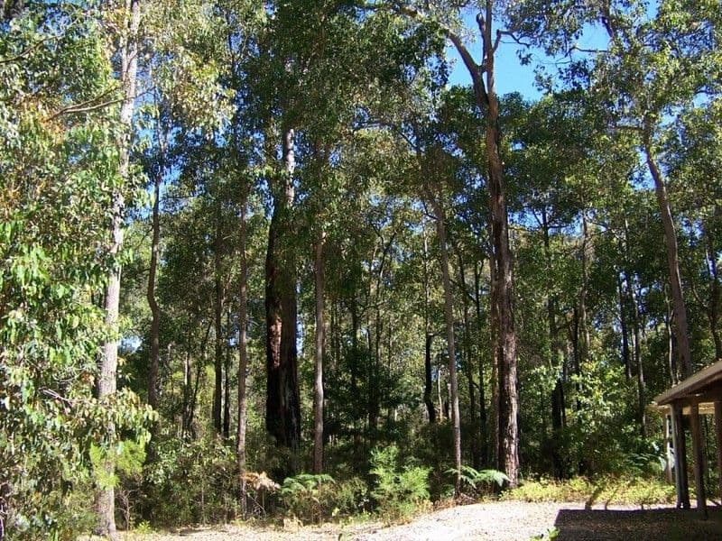 17 Karri Lane, QUINNINUP WA 6258, Quinninup - Thumbnail 4