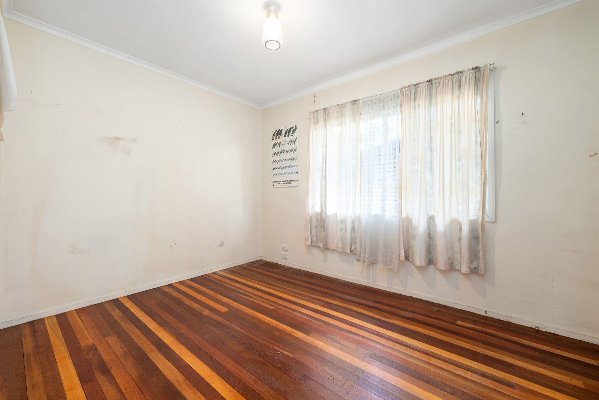 59 Amega Street, Mount Gravatt East QLD 4122, Mount Gravatt East - Thumbnail 7
