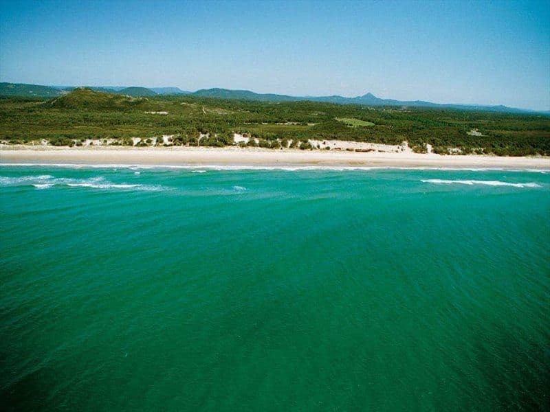 98 The Avenue, PEREGIAN SPRINGS QLD 4573, Peregian Springs - Thumbnail 2