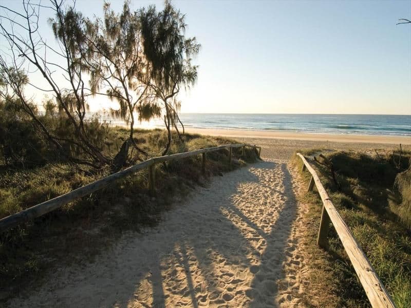 98 The Avenue, PEREGIAN SPRINGS QLD 4573, Peregian Springs - Thumbnail 4