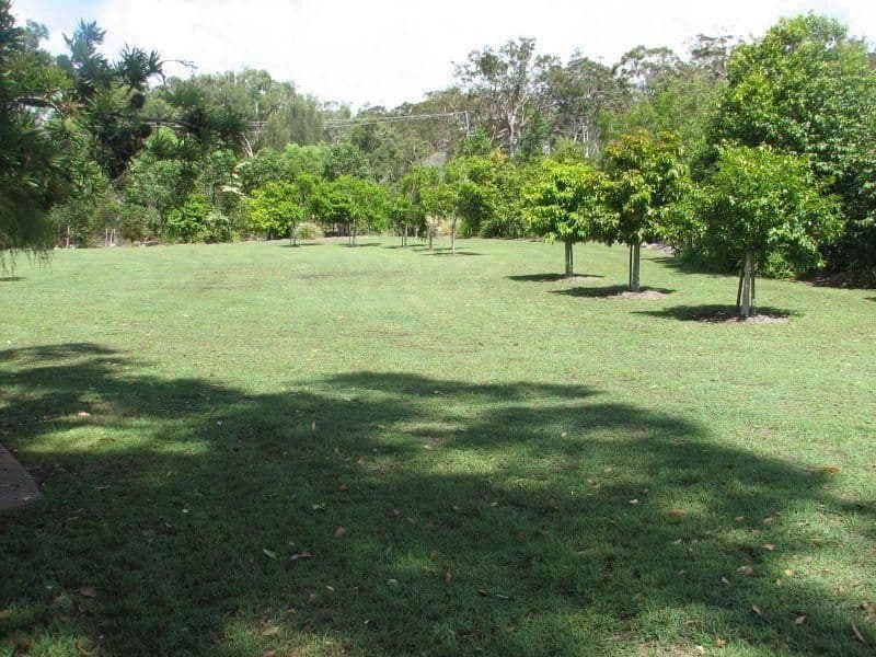 98 The Avenue, PEREGIAN SPRINGS QLD 4573, Peregian Springs - Thumbnail 8