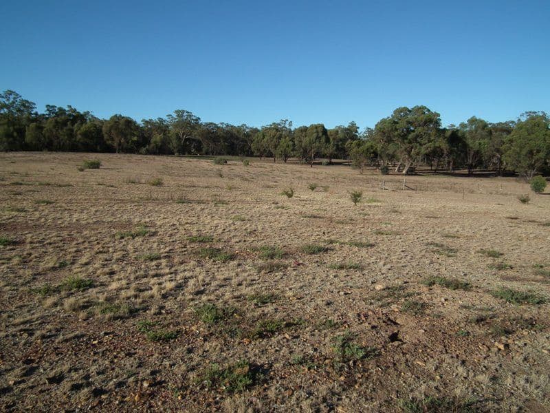 41 Steigenberger Road, RUSHWORTH VIC 3612, Rushworth - Thumbnail 8