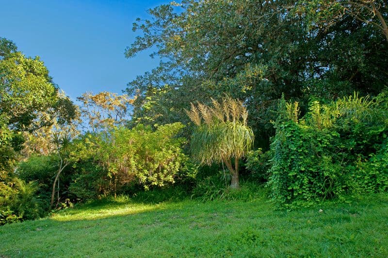 11 Bayview Hill Road, ROSE BAY NSW 2029, Rose Bay - Thumbnail 6