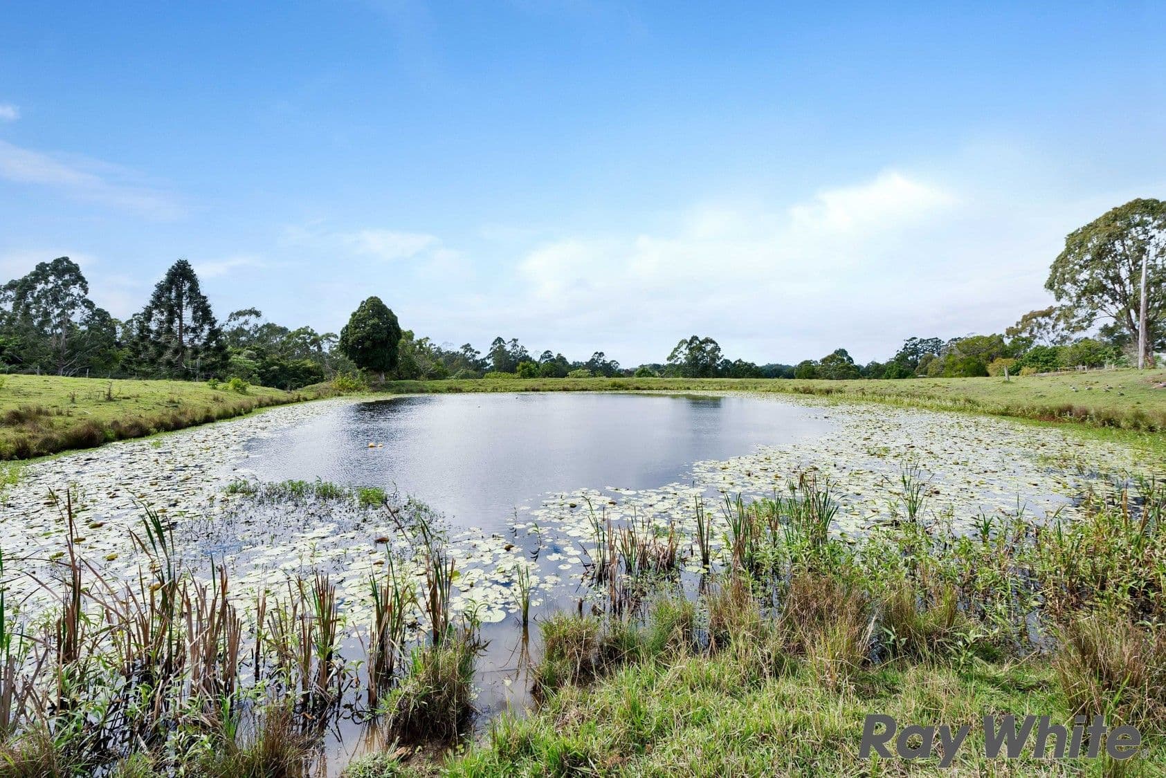 39 Cooke Road, Witta QLD 4552, Witta - Image 1