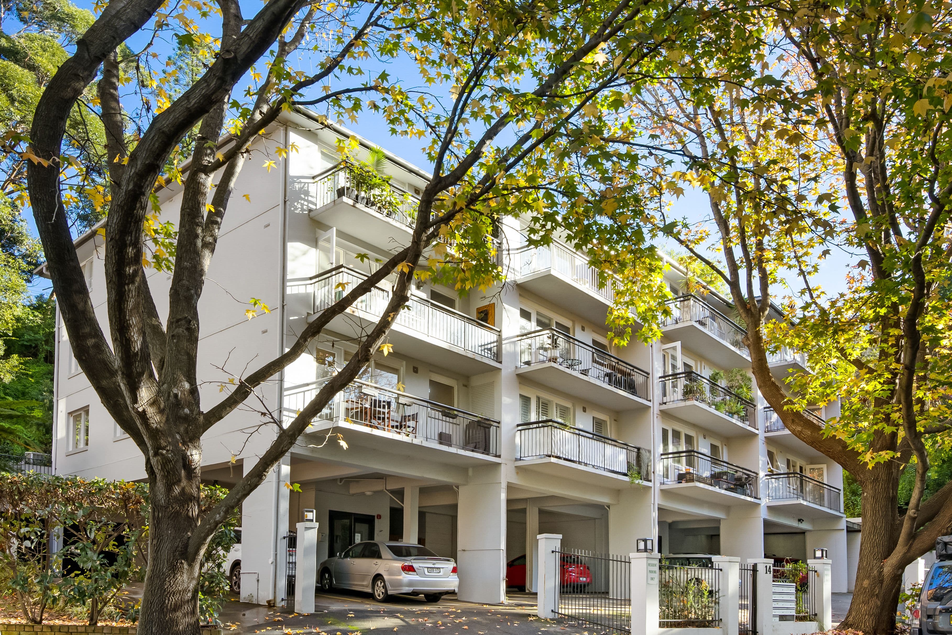 14 Albi Place, Randwick NSW 2031, Randwick - Thumbnail 8