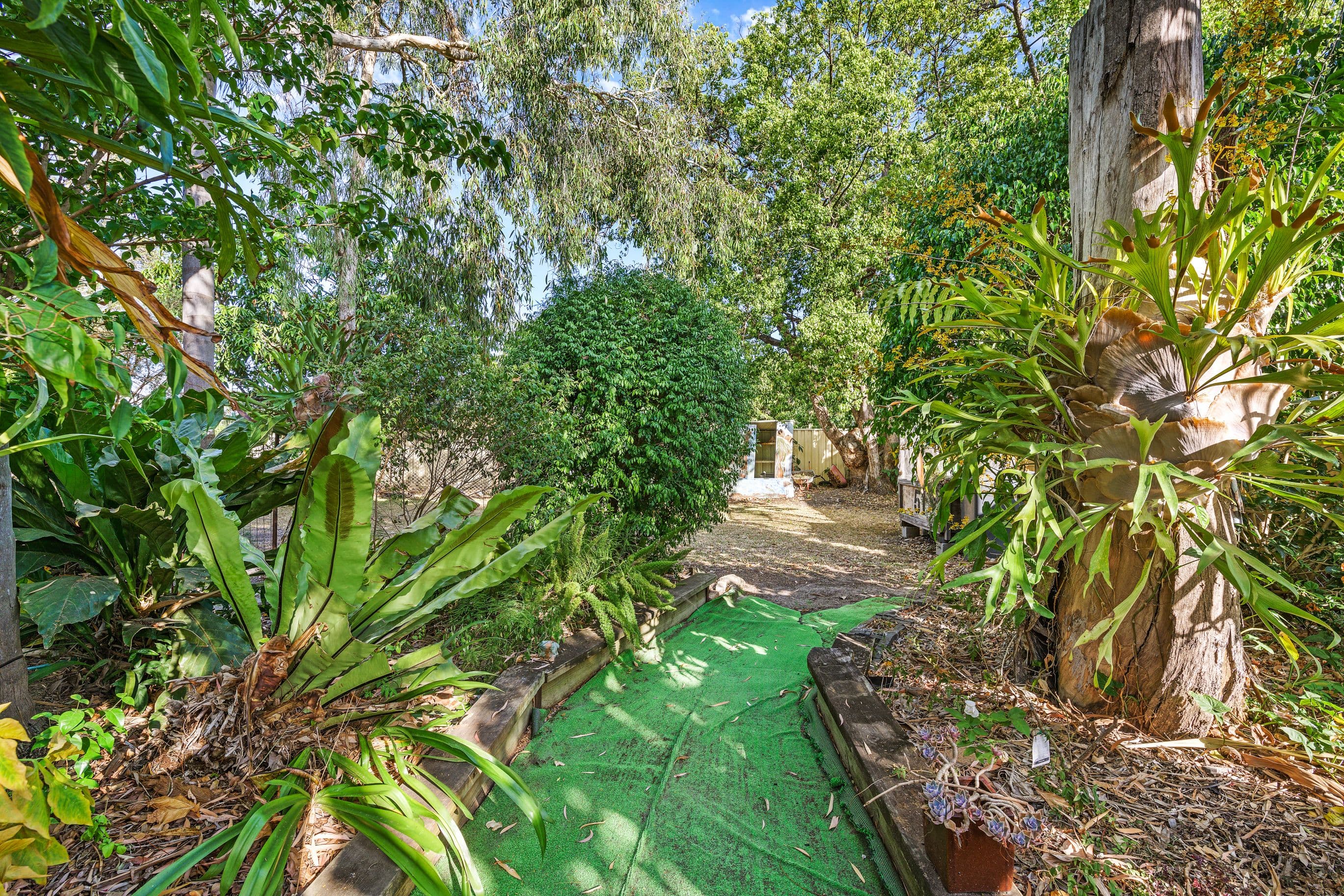 58 Blackwood Road, Deagon QLD 4017, Deagon - Thumbnail 4