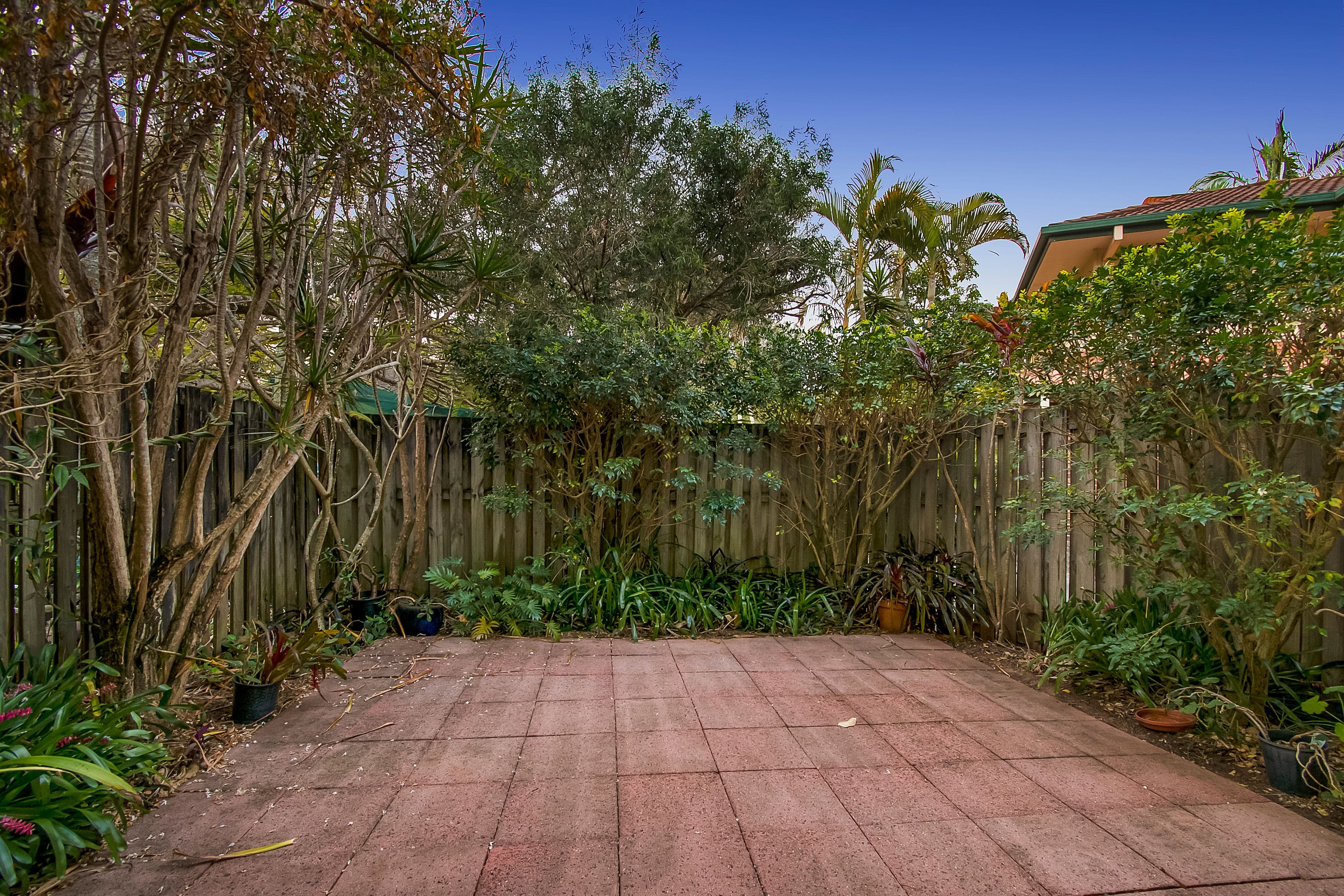 1-2 Cape Court, Byron Bay NSW 2481, Byron Bay - Thumbnail 6