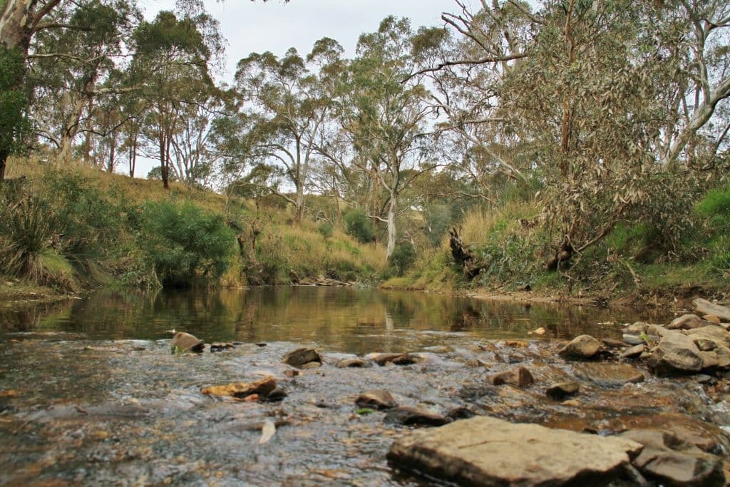 569 Spring Flat Road, Heathcote VIC 3523, Heathcote - Thumbnail 5