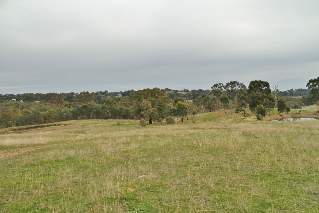 569 Spring Flat Road, Heathcote VIC 3523, Heathcote - Thumbnail 8