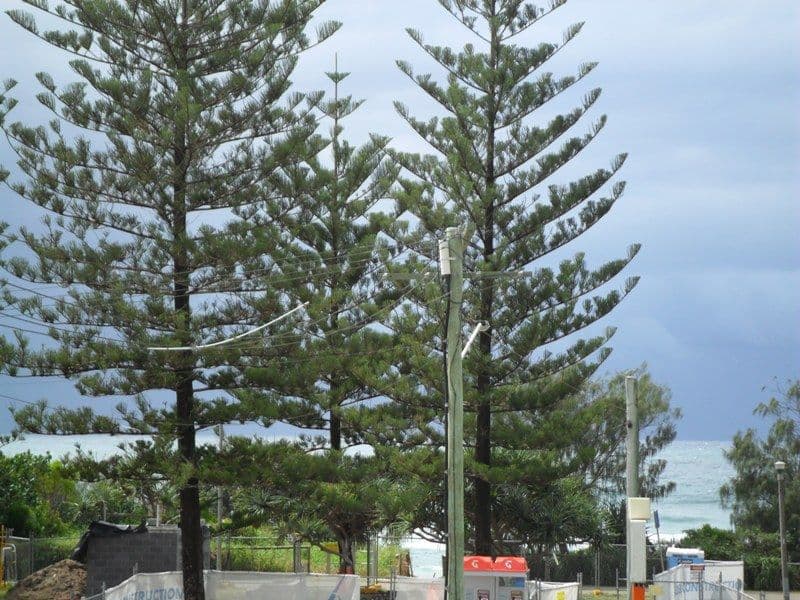 82 The Esplanade Burleigh Heads, BURLEIGH HEADS QLD 4220, Burleigh Heads - Image 1