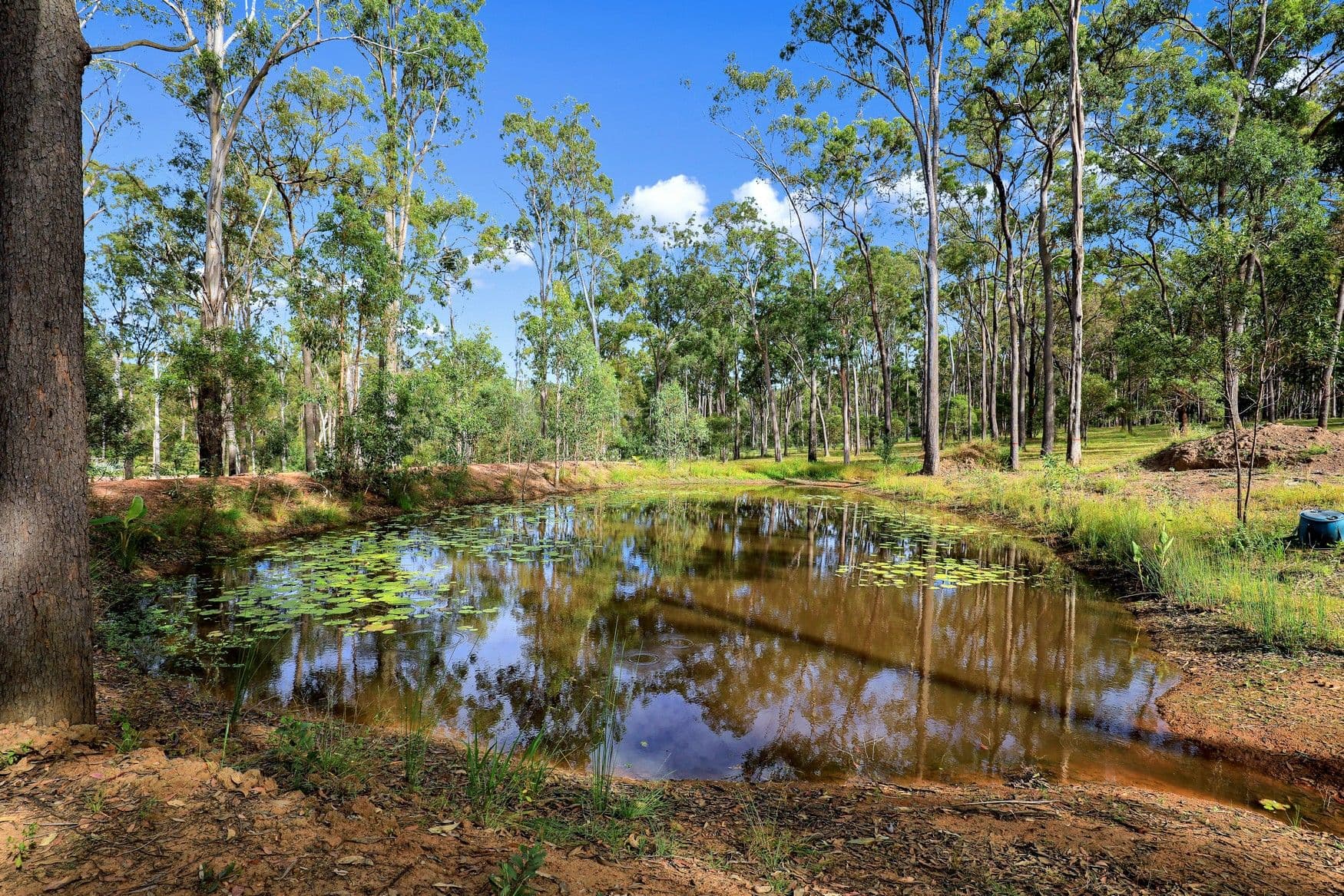 2 Corella Court, Bucca QLD 4670, Bucca - Thumbnail 5