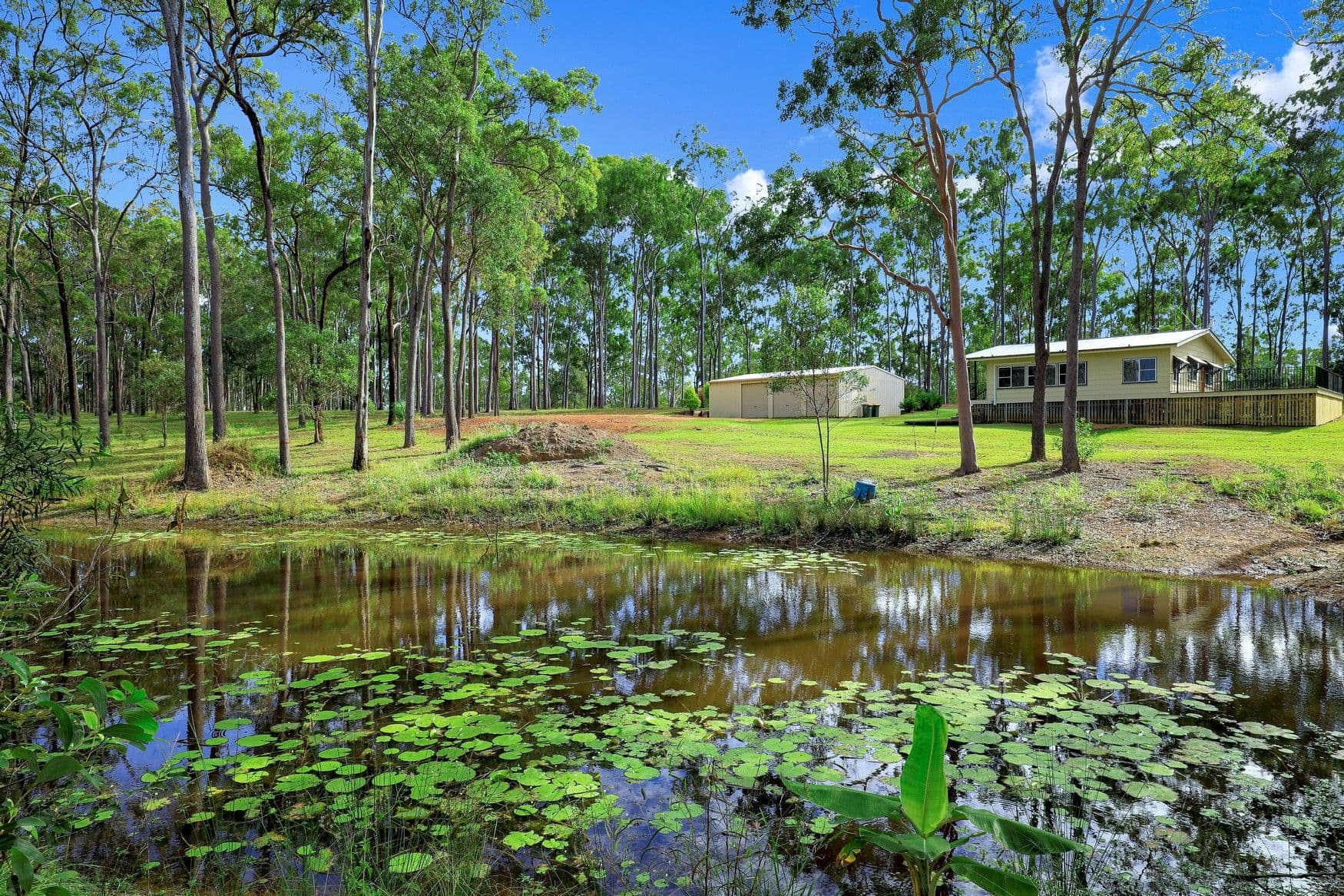 2 Corella Court, Bucca QLD 4670, Bucca - Thumbnail 6