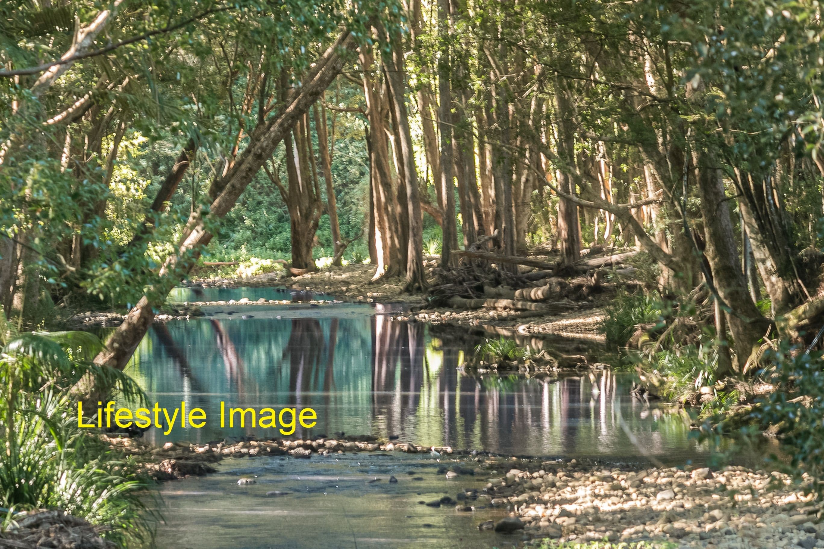 49 Upper Crystal Creek Road, Upper Crystal Creek NSW 2484, Crystal Creek - Thumbnail 2