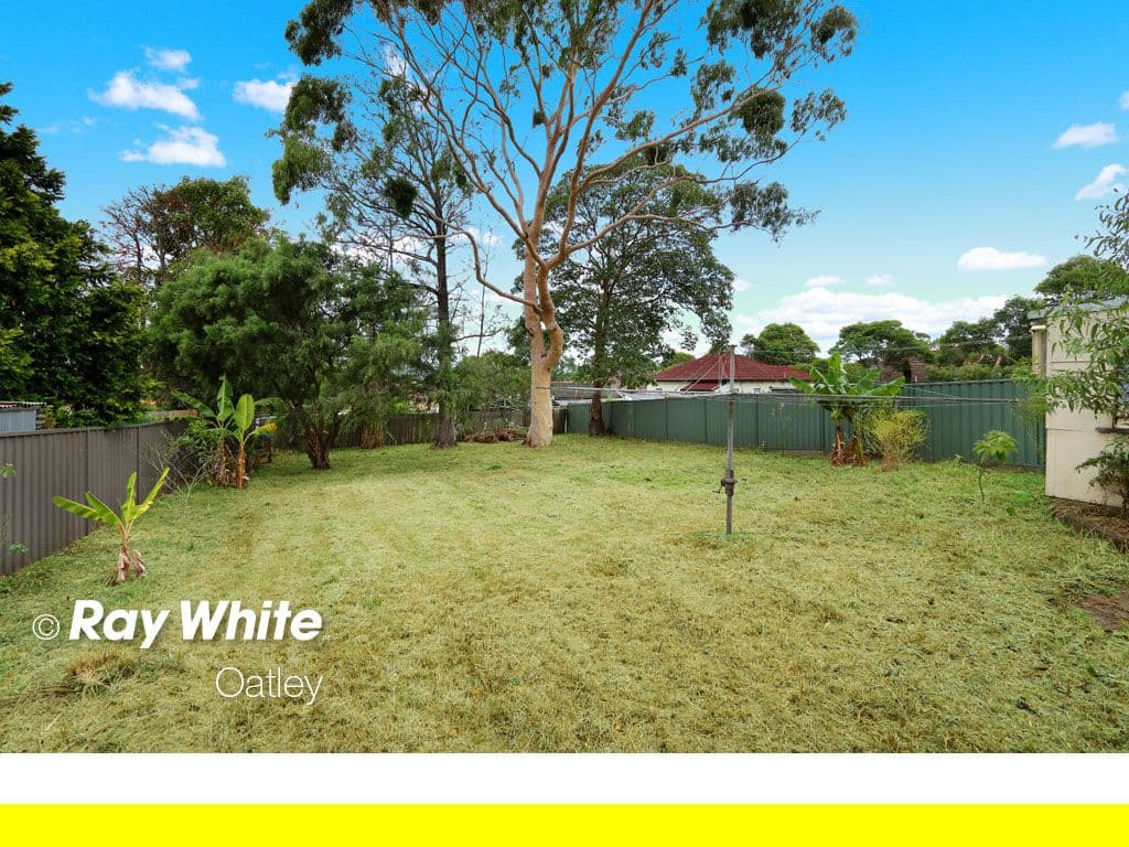 537 Forest Road, Mortdale - Thumbnail 4
