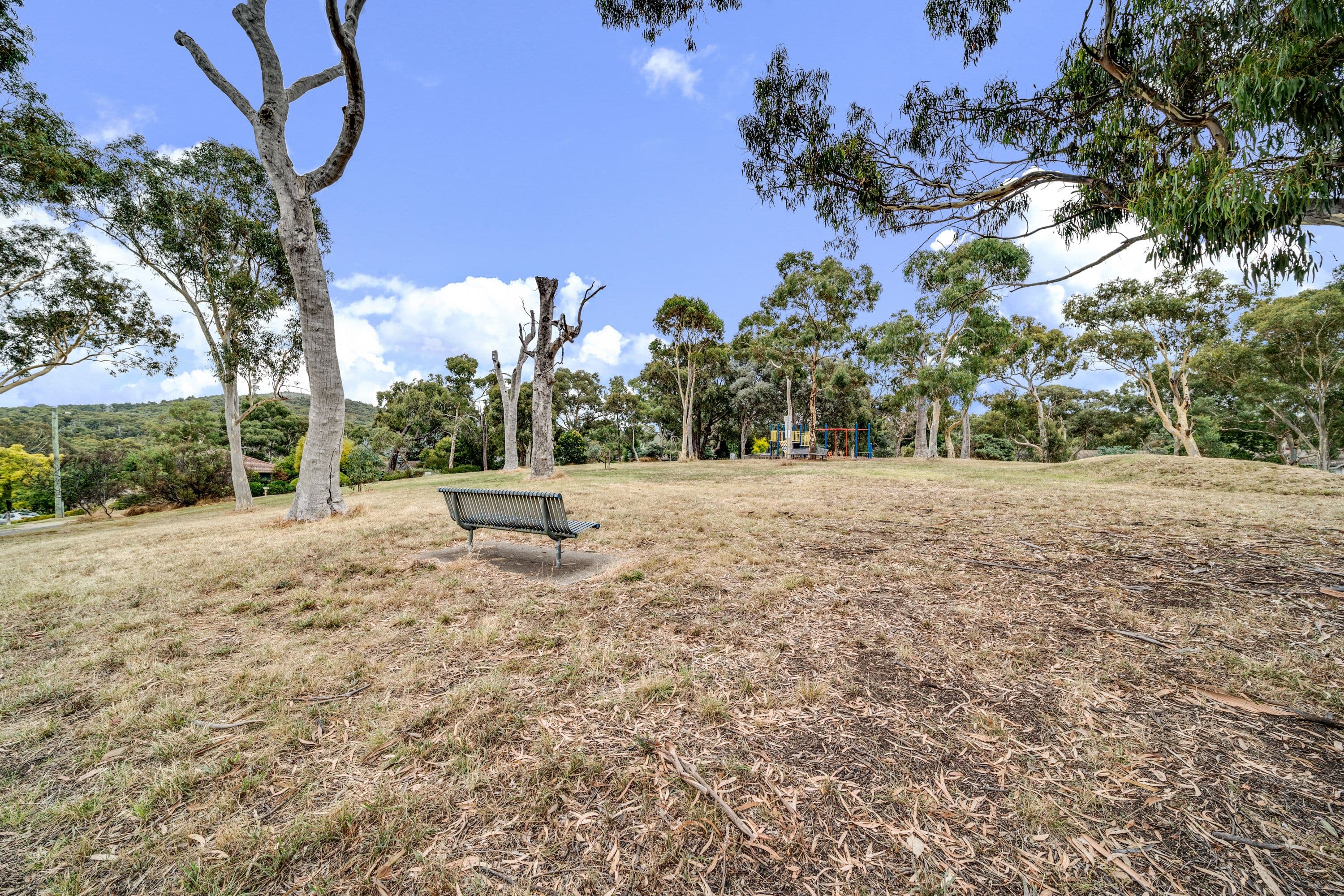 31 Wongoola Close, O'Connor ACT 2602, O'Connor - Thumbnail 5