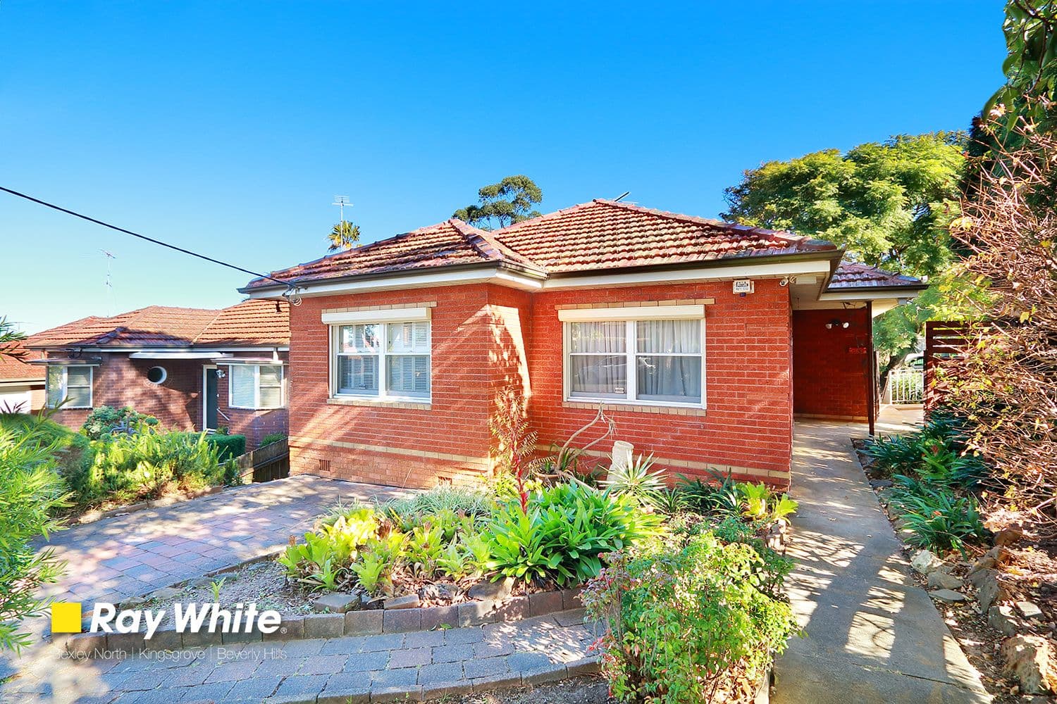 1 Pangee Street, Kingsgrove NSW 2208, Kingsgrove - Image 1