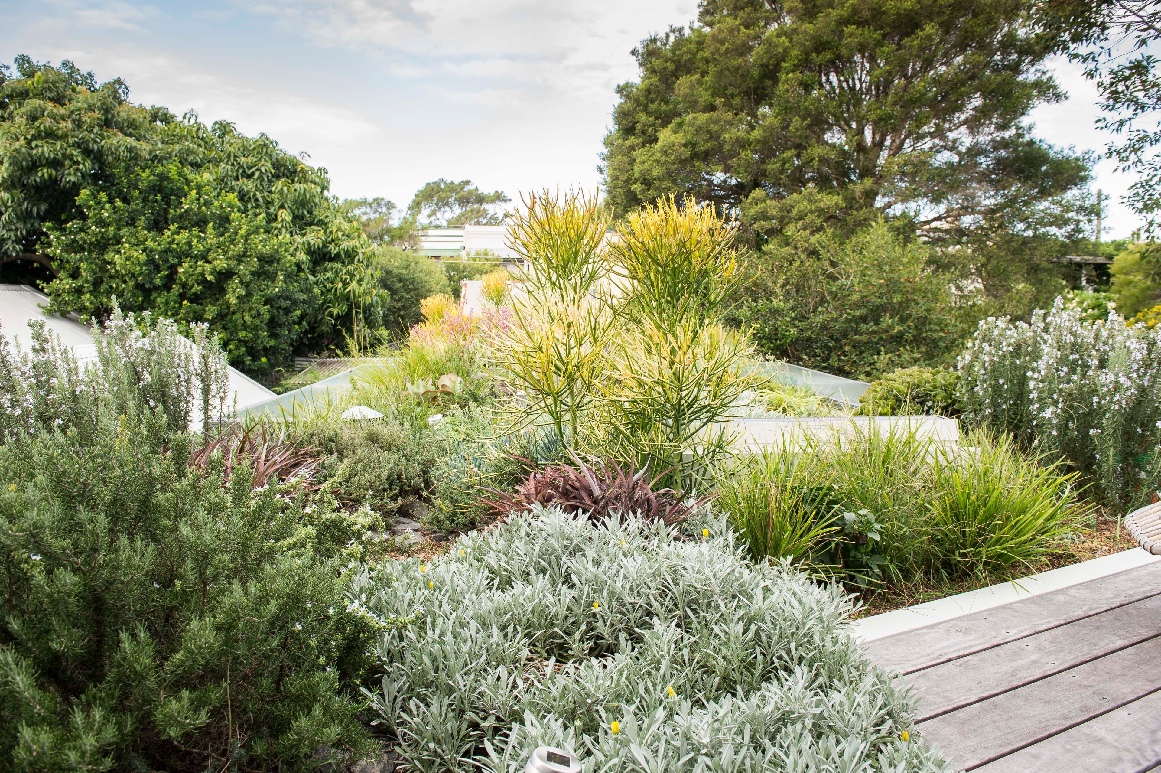 40 Commodore Street, Newtown NSW 2042, Newtown - Thumbnail 6