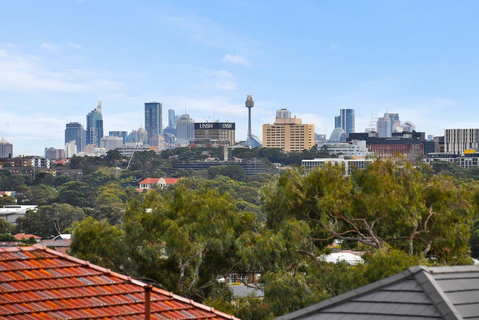 205 Boyce Road, Maroubra NSW 2035, Maroubra - Thumbnail 2