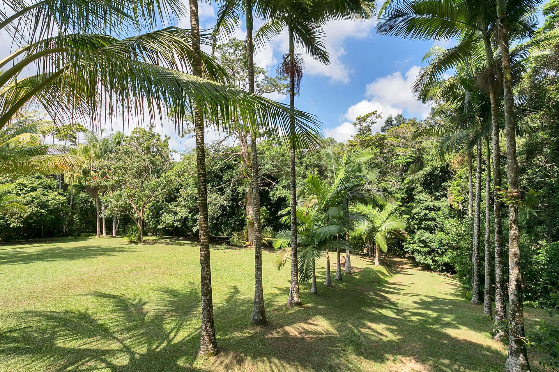 31 Masons Road, Kuranda QLD 4881, Kuranda - Thumbnail 6