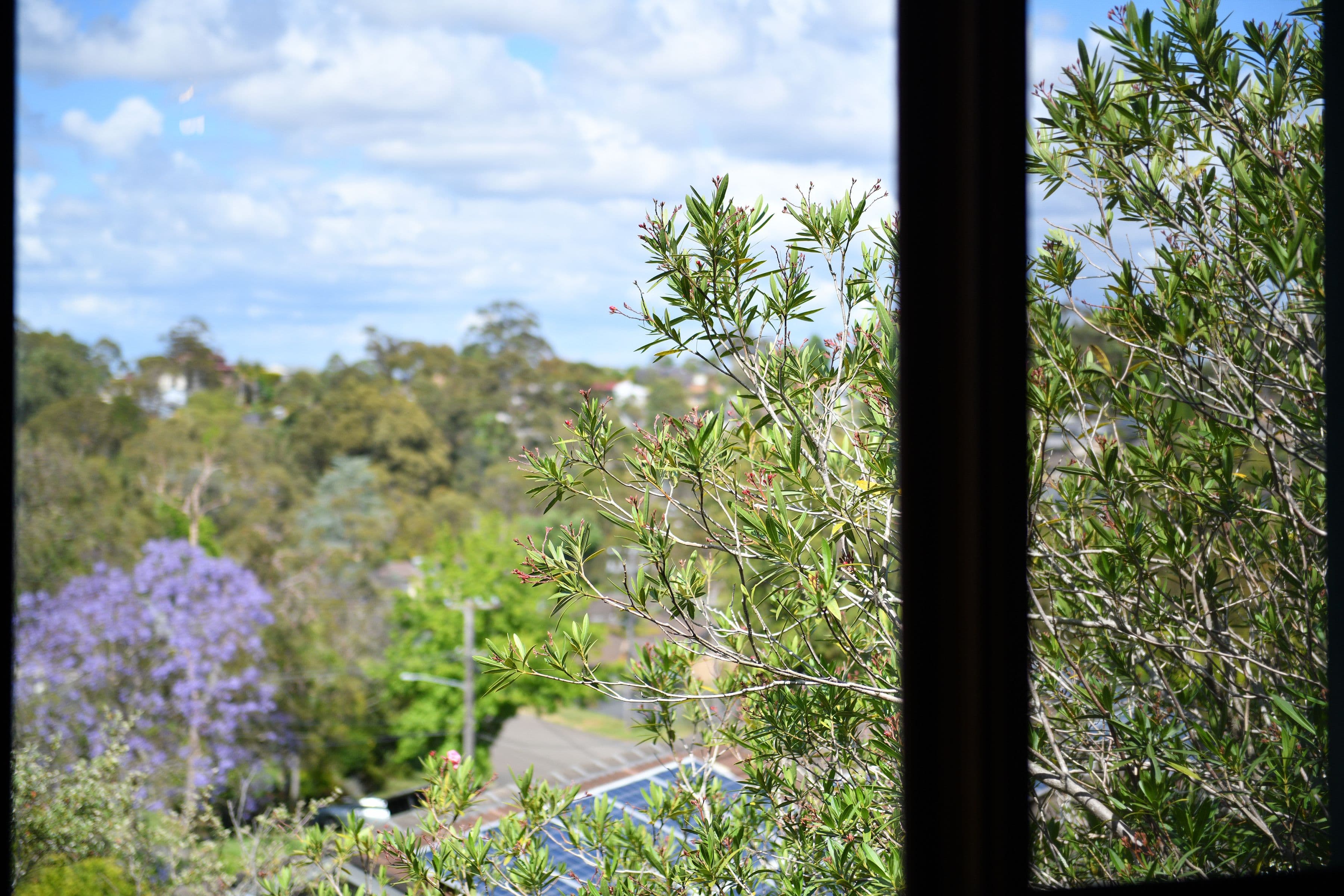 12 Borgnis Street, Davidson NSW 2085, Davidson - Thumbnail 7