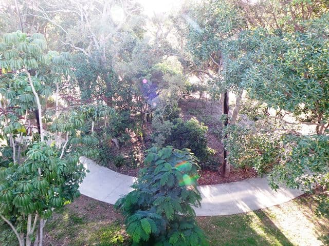 2 Blaik Street, WOORIM QLD 4507, Woorim - Thumbnail 7