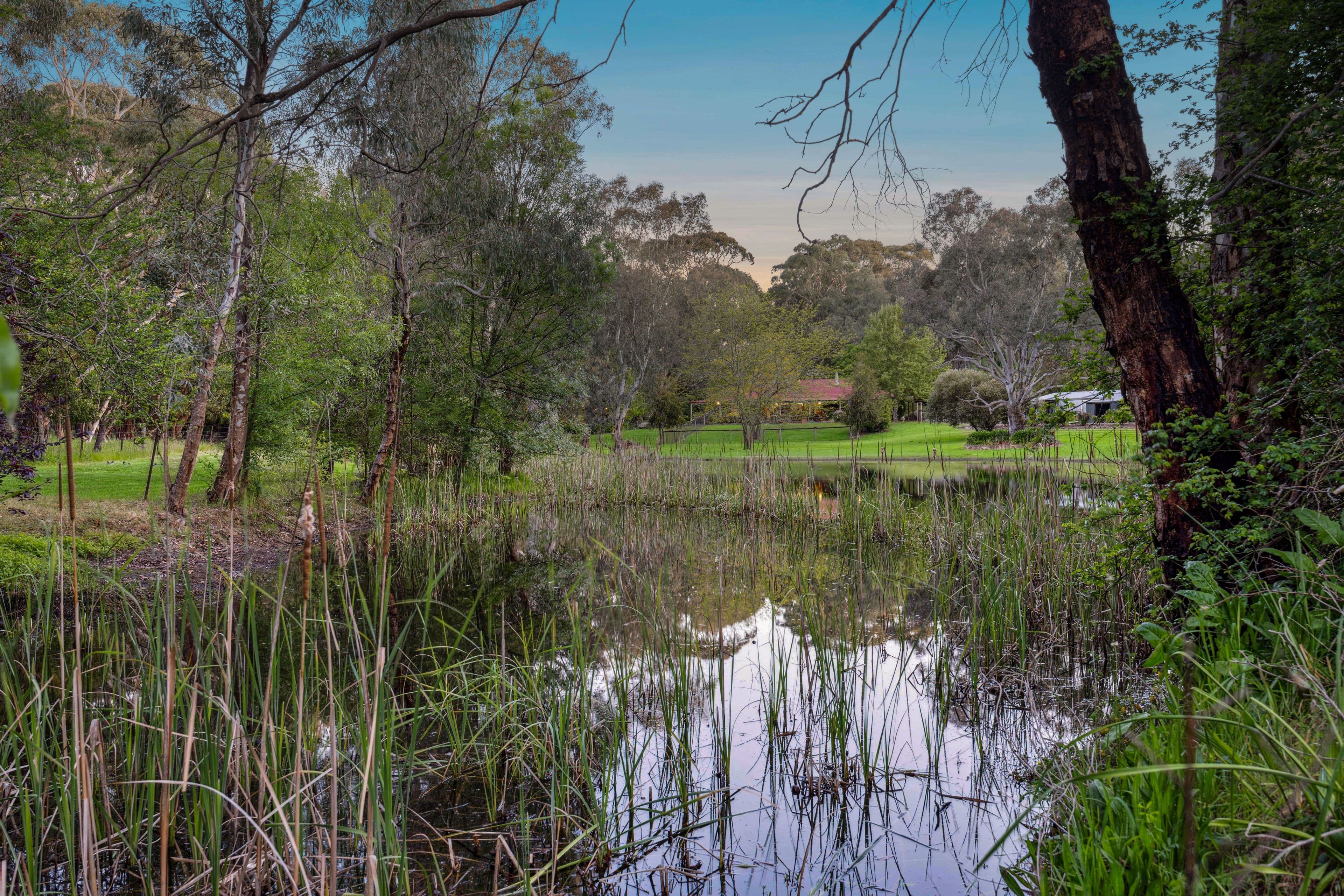 7 Rowley Road, Meadows SA 5201, Meadows - Image 1