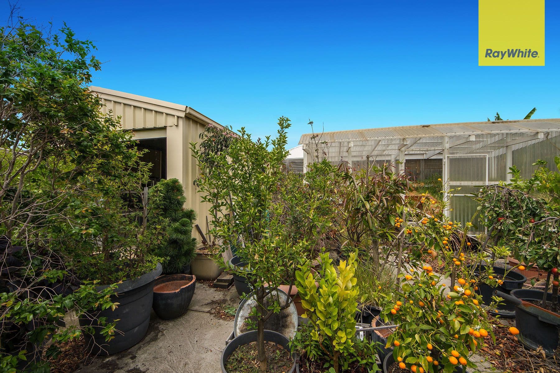 69 Devonshire Street, West Footscray VIC 3012, West Footscray - Thumbnail 5