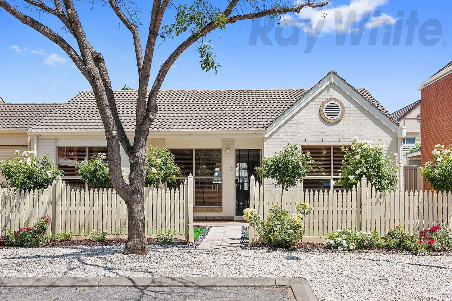22 Borroughs Street, Ridleyton SA 5008, Ridleyton - Image 1