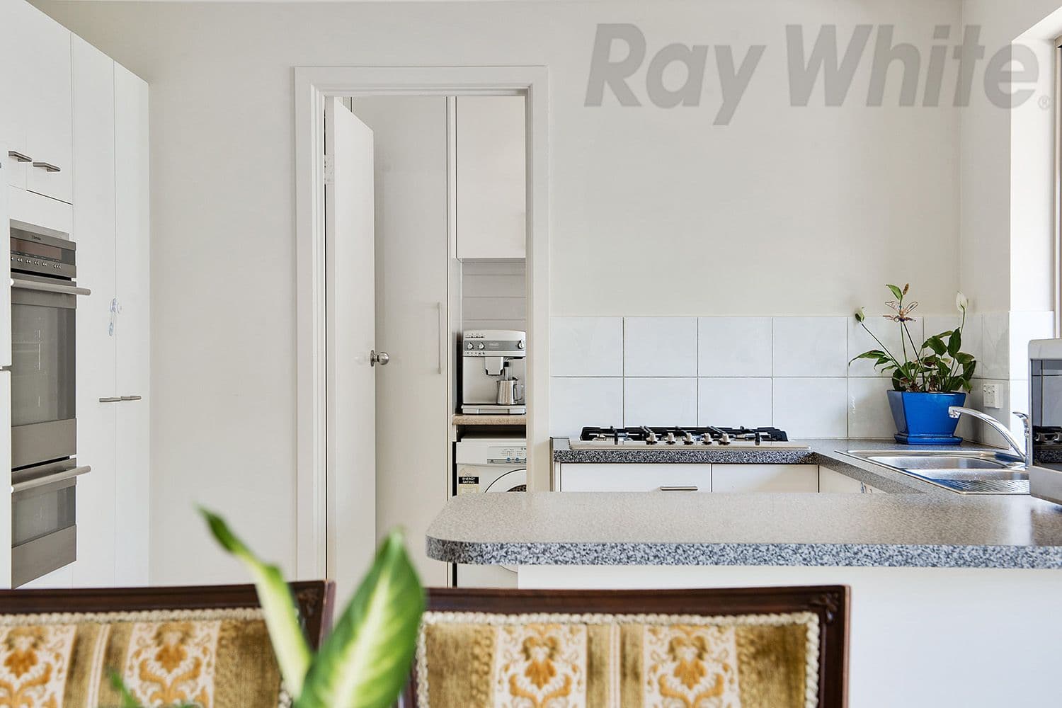22 Borroughs Street, Ridleyton SA 5008, Ridleyton - Thumbnail 4