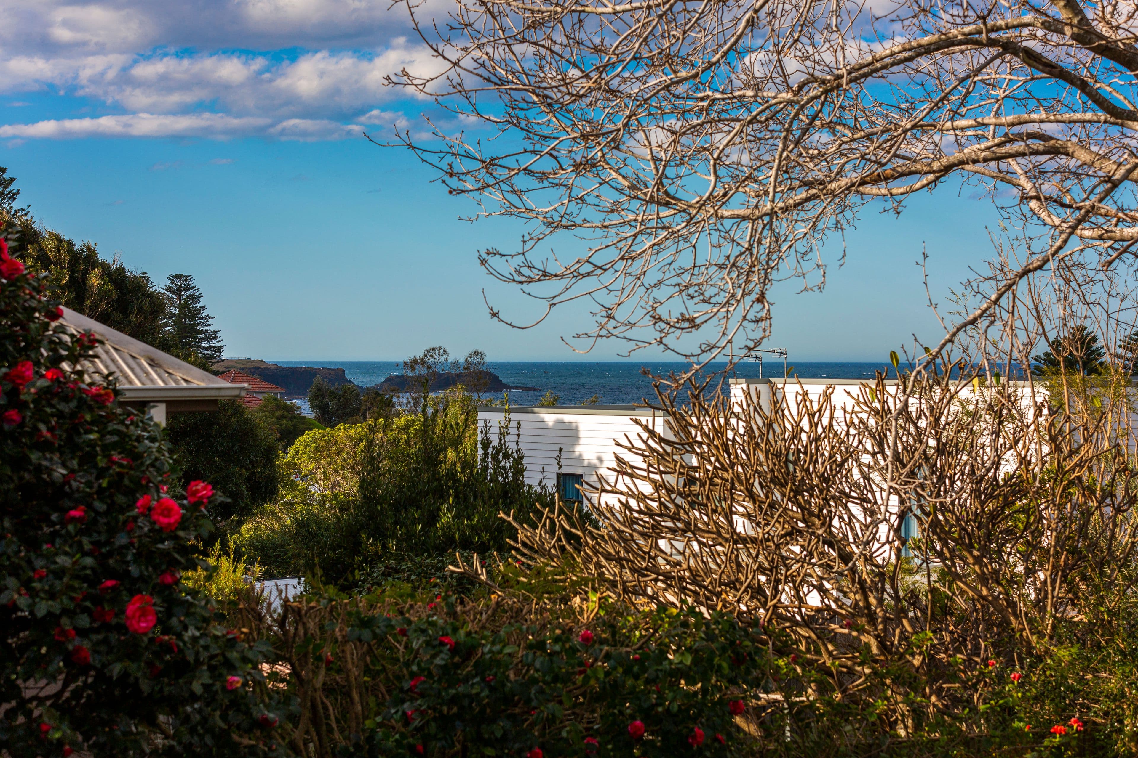 5 William Street, Kiama NSW 2533, Kiama - Thumbnail 2