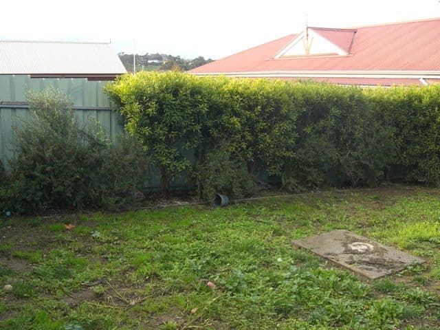15 Gray Court, MOUNT BARKER SA 5251, Mount Barker - Thumbnail 6